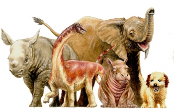 A baby Rapetosaurus stands alongside a dog, elephant, rhino and hippo